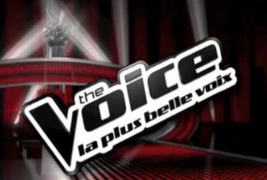 Beaux profits pour TF1 avec les SMS de "thé Voice"